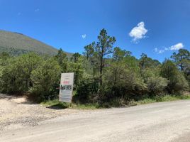  Grundstück zu verkaufen in Arteaga, Coahuila, Arteaga