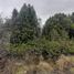 Land for sale in Los Lagos, Puerto Montt, Llanquihue, Los Lagos