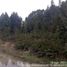  Land for sale in Los Lagos, Puerto Montt, Llanquihue, Los Lagos