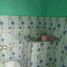 3 Schlafzimmer Haus zu verkaufen in Karangpilang, East Jawa, Karangpilang