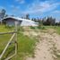  Terreno (Parcela) en venta en Biobío, Los Angeles, Biobío, Biobío