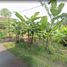  Land for sale in Tembalang, Semarang, Tembalang