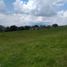  Terreno (Parcela) en venta en Ameca, Jalisco, Ameca