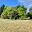  Terreno (Parcela) en venta en Araucanía, Villarrica, Cautín, Araucanía
