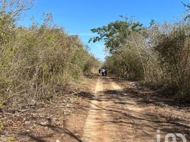  Grundstück zu verkaufen in Sinanche, Yucatan, Sinanche