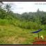  Land for sale in Ubud, Gianyar, Ubud