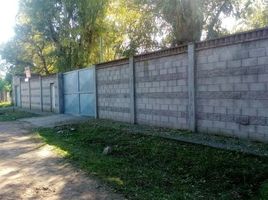 2 Schlafzimmer Villa zu verkaufen in Almirante Brown, Buenos Aires, Almirante Brown