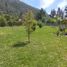  Terreno (Parcela) en venta en Chile, San Clemente, Talca, Maule, Chile