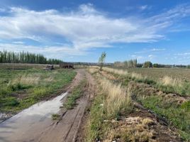  Terreno (Parcela) en venta en Rio Negro, General Roca, Rio Negro