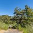  Land for sale in Chile, Pucon, Cautin, Araucania, Chile