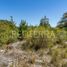  Land for sale in Chile, Pucon, Cautin, Araucania, Chile