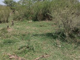  Grundstück zu verkaufen in Tlajomulco De Zuniga, Jalisco, Tlajomulco De Zuniga
