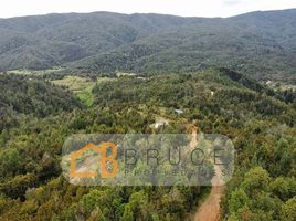  Terreno (Parcela) en venta en Chile, Rio Negro, Osorno, Los Lagos, Chile