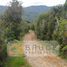  Terreno (Parcela) en venta en Chile, Rio Negro, Osorno, Los Lagos, Chile