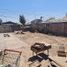  Land for sale in Chile, Pirque, Cordillera, Santiago, Chile
