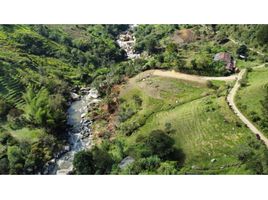  Terreno (Parcela) en venta en San Vicente, Antioquia, San Vicente