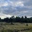  Terrain for sale in Llanquihue, Los Lagos, Puerto Montt, Llanquihue