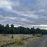  Terrain for sale in Llanquihue, Los Lagos, Puerto Montt, Llanquihue