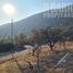  Land for sale in Santiago, Santiago, Santiago, Santiago