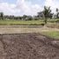  Land for sale in Ubud, Gianyar, Ubud