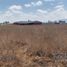  Land for sale in Chile, Buin, Maipo, Santiago, Chile