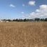  Land for sale in Chile, Buin, Maipo, Santiago, Chile