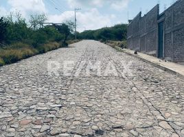  Terreno (Parcela) en venta en Salamanca, Guanajuato, Salamanca