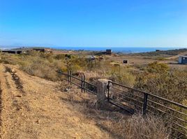  Land for sale in Chile, Ovalle, Limari, Coquimbo, Chile