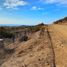  Land for sale in Chile, Ovalle, Limari, Coquimbo, Chile