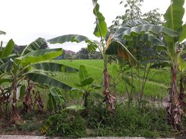  Terreno (Parcela) en venta en Seyegan, Yogyakarta, Seyegan, Sleman