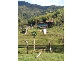 Estudio Casa en venta en Tolima, Ibague, Tolima