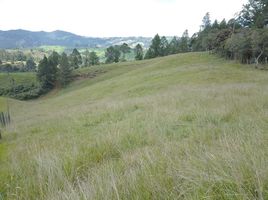  Land for sale in Rionegro, Antioquia, Rionegro