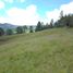  Land for sale in Rionegro, Antioquia, Rionegro