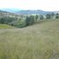  Land for sale in Rionegro, Antioquia, Rionegro