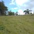  Land for sale in Rionegro, Antioquia, Rionegro
