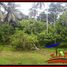  Land for sale in Selemadeg, Tabanan, Selemadeg