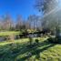  Land for sale in Cautin Araucania, Vilcun, Cautin, Araucania, Chile