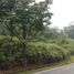  Land for sale in Ulu Selangor Selangor, Ampang Pechah