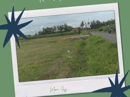  Land for sale in Jenggawah, Jember, Jenggawah