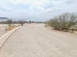  Terreno (Parcela) en venta en Torreon, Coahuila, Torreon