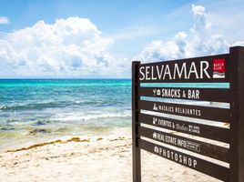  Grundstück zu verkaufen in Cozumel, Quintana Roo, Cozumel