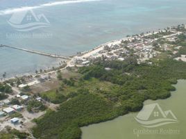  Grundstück zu verkaufen in Othon P Blanco, Quintana Roo, Othon P Blanco