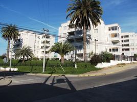 코 퀴보PropertyTypeNameBedroom, Coquimbo, 엘키, 코 퀴보