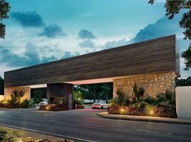  Grundstück zu verkaufen in Conkal, Yucatan, Conkal