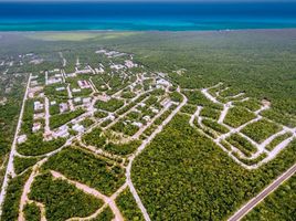  Grundstück zu verkaufen in Cozumel, Quintana Roo, Cozumel