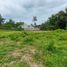  Land for sale in Kasihan, Bantul, Kasihan