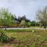  Terreno (Parcela) en venta en Maipo, Santiago, Buin, Maipo