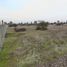  Land for sale in Nuble, Quillon, Diguillin, Nuble