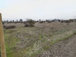  Land for sale in Nuble, Quillon, Diguillin, Nuble