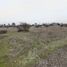  Land for sale in Quillon, Nuble, Quillon